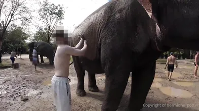 Traveler Hermione Potter Visits A Shrine In Thailand And Then Gets Fucked At The Hotel