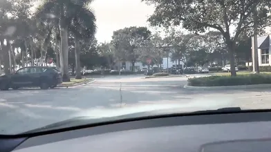 Strawberryshan Gets Facial After Car Fuck