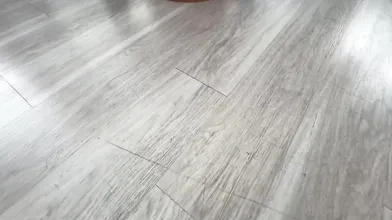 Ellie Nova Huge Booty Creamy Sextape With Dredd NEW VID