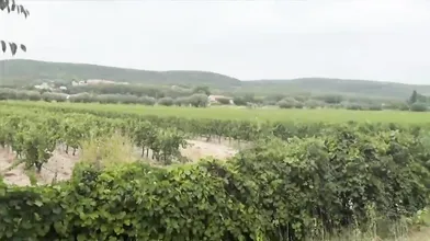 Luna Doll - I'm having a threesome with two handsome guys I found in a field