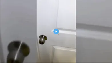 Autumren BG Onlyfans Sextape Video Leaked