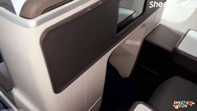 Sweetie Fox Fucking With Stranger From The Next Airplane Seat Pov Leak Video