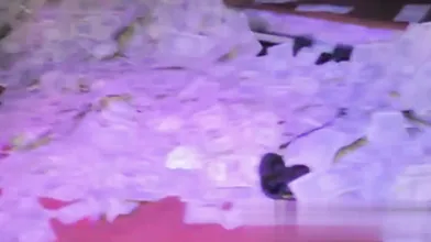 Blac Chyna Nude Stripper Stage Dance Video Leaked