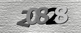 Immagine di protezione