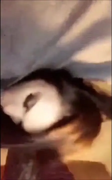 Rainey James Nude Restaurant Public Blowjob Snapchat Porn Video