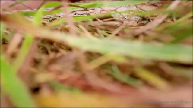 Rose Kelly Witchway To Romance PPV Video Leaked