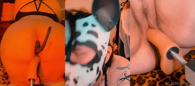 Rhawk3's Dildo Play: Ass and Pussy Action