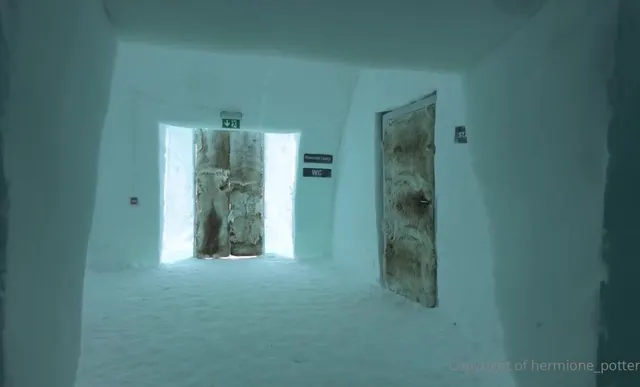 Hermione Potter Gets Fucked in an Ice Hotel
