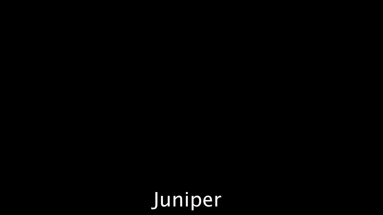 Juniper Ren Lets Her Ass And Pussy Get Railed