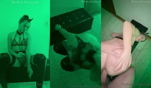 艾弗里克里斯蒂作为一只顺从的小猫