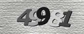 Captcha resmi
