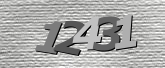 Captcha resmi
