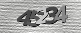 Captcha resmi
